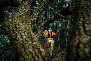 BIB: 
                            <button type="button" onclick="openModal(25698275)" class="btn btn-primary btn-sm float-right btn-popup" data-toggle="modal" data-target=".modal-high-quality">
                        <i class="fas fa-shopping-cart"></i> Add to Cart
                    </button>
                                            <button type="button" onclick="isThisMe(25698275, true)" class="btn btn-success btn-sm float-right btn-popup btn-isme hidden" data-toggle="tooltip" data-placement="bottom" title="นี่คือรูปของคุณใช่ไหม คลิกที่นี่เพื่อเอาเข้าอัลบั้ม">
                        <i class="fas fa-plus"></i> Add to album
                    </button>
                    <button type="button" onclick="isThisMe(25698275, false)" class="btn btn-warning btn-sm float-right btn-popup btn-isnotme hidden">
                        <i class="fas fa-ban"></i> Remove from album
                    </button>